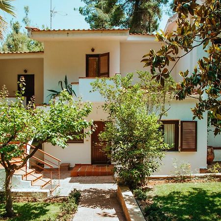 Beautiful Summerhouse In Sani'S Pine Forest Παραλία Σάνη Εξωτερικό φωτογραφία