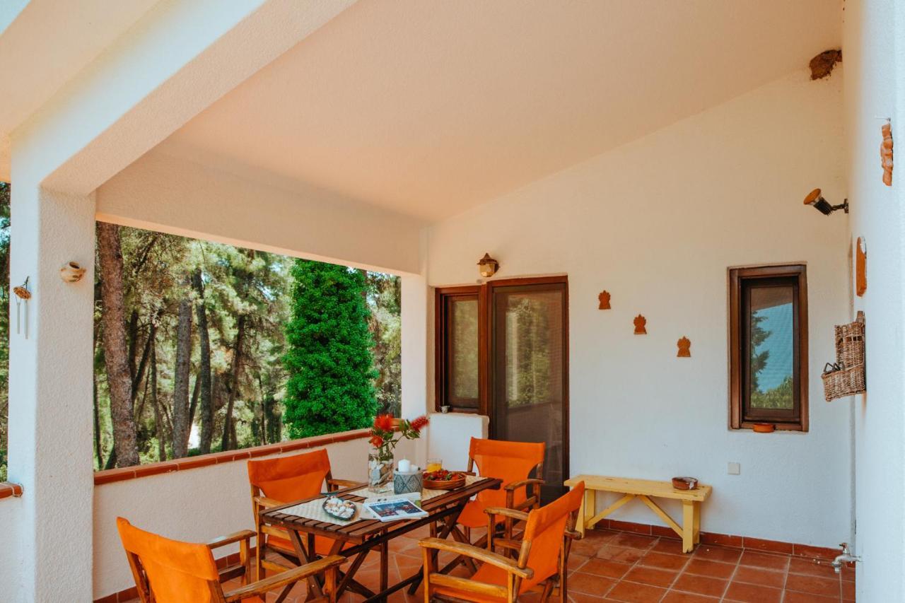 Beautiful Summerhouse In Sani'S Pine Forest Παραλία Σάνη Εξωτερικό φωτογραφία