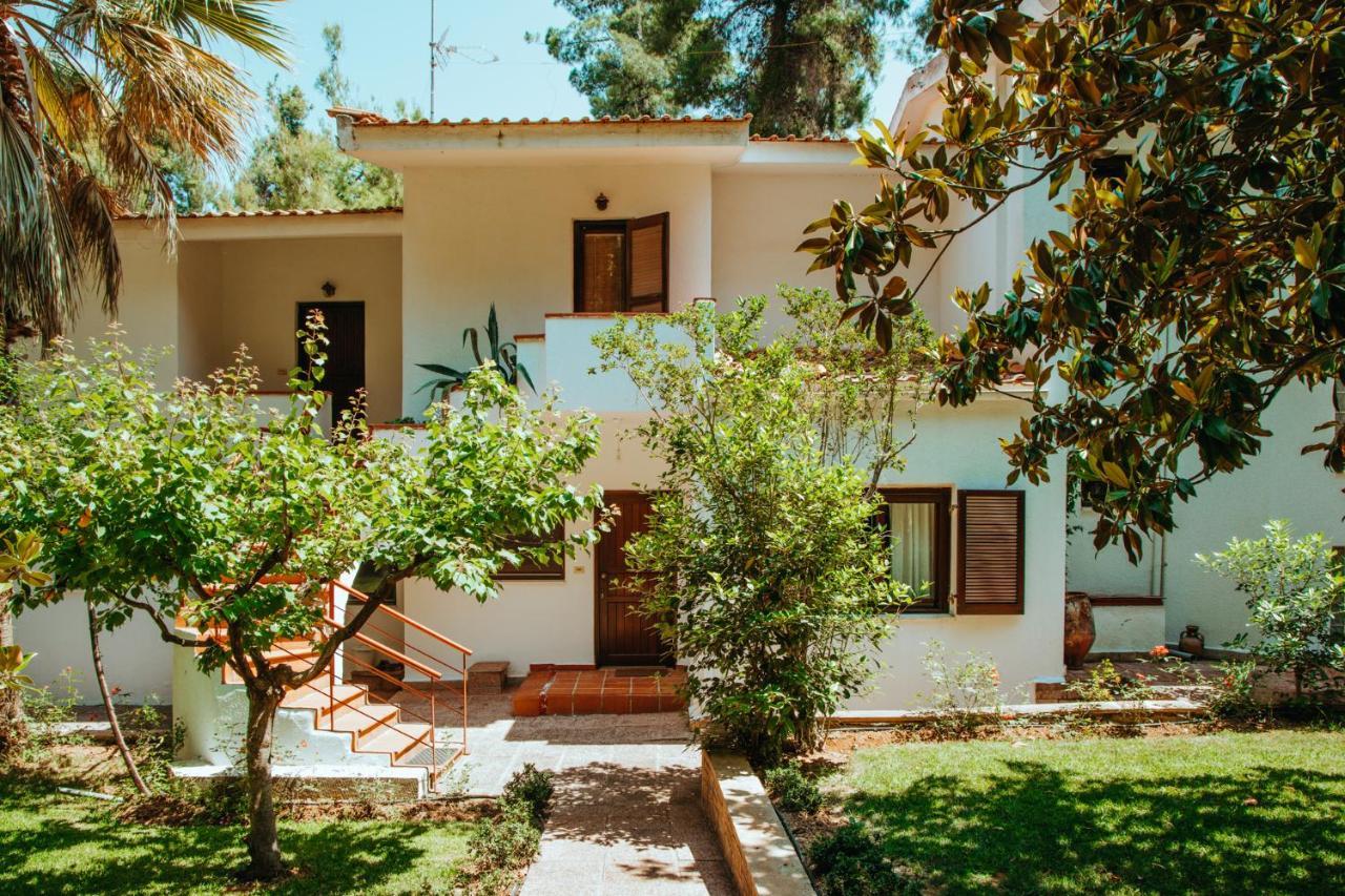 Beautiful Summerhouse In Sani'S Pine Forest Παραλία Σάνη Εξωτερικό φωτογραφία