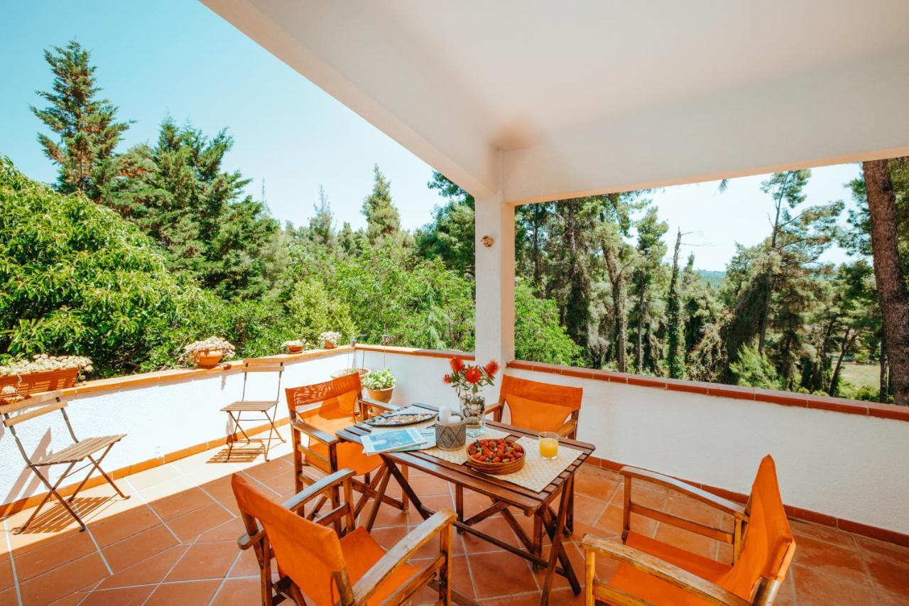 Beautiful Summerhouse In Sani'S Pine Forest Παραλία Σάνη Εξωτερικό φωτογραφία