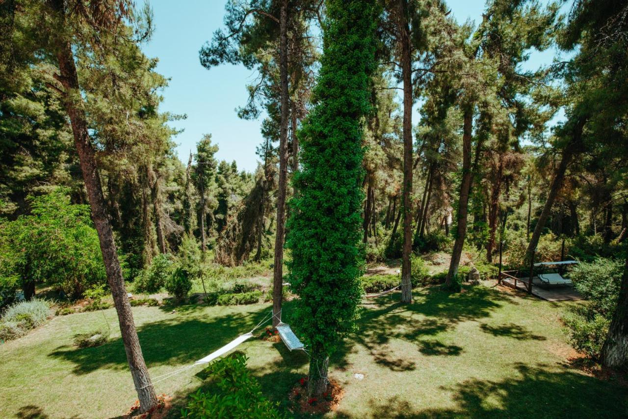 Beautiful Summerhouse In Sani'S Pine Forest Παραλία Σάνη Εξωτερικό φωτογραφία