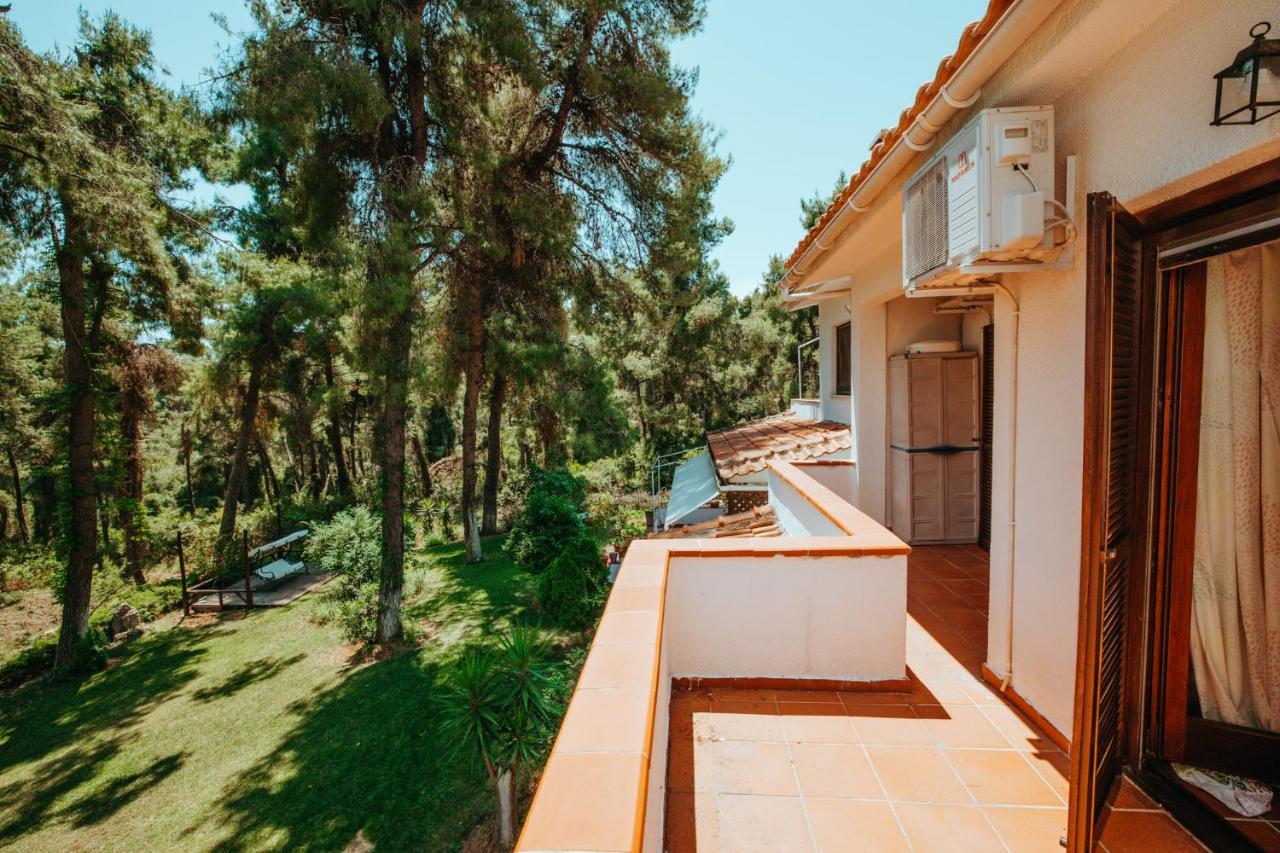 Beautiful Summerhouse In Sani'S Pine Forest Παραλία Σάνη Εξωτερικό φωτογραφία