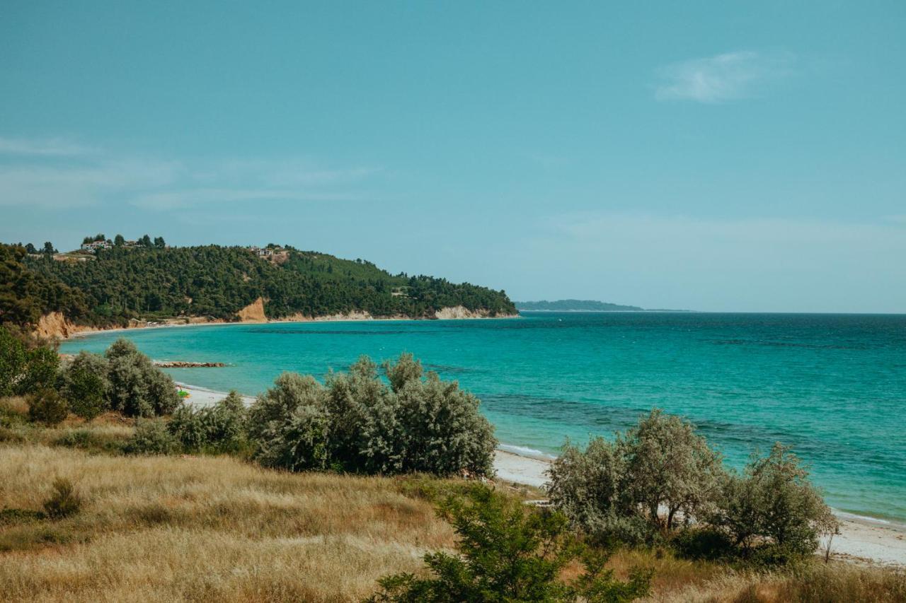 Beautiful Summerhouse In Sani'S Pine Forest Παραλία Σάνη Εξωτερικό φωτογραφία