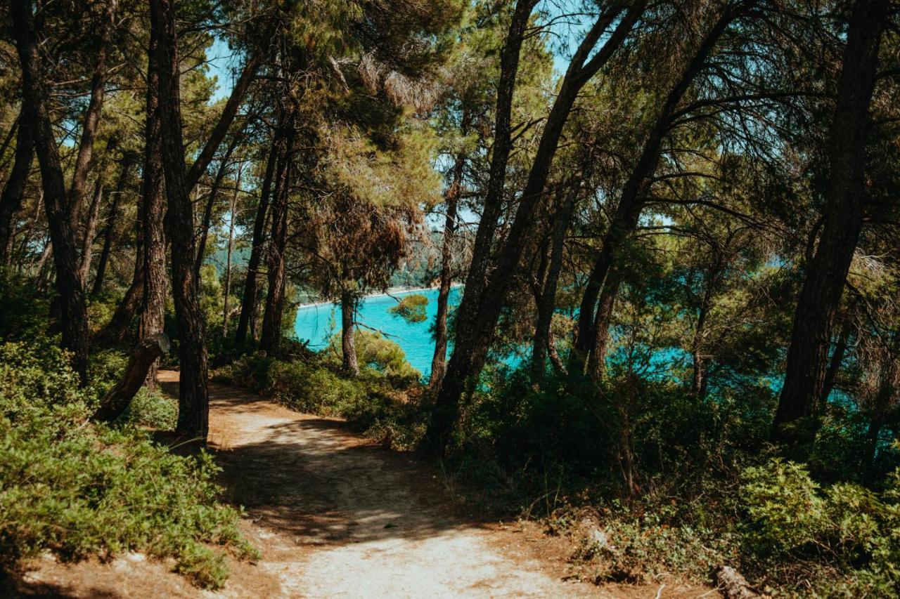 Beautiful Summerhouse In Sani'S Pine Forest Παραλία Σάνη Εξωτερικό φωτογραφία