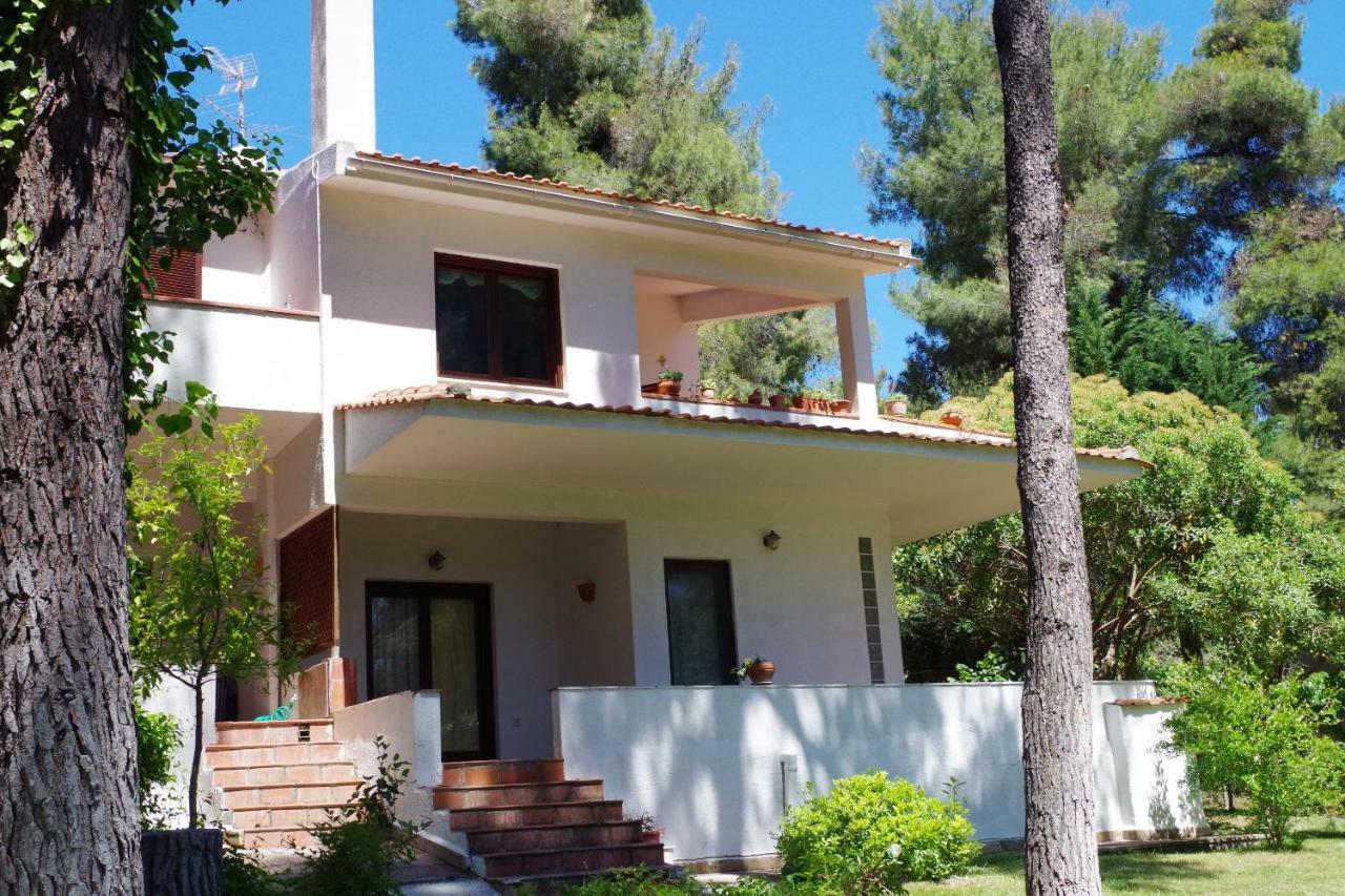 Beautiful Summerhouse In Sani'S Pine Forest Παραλία Σάνη Εξωτερικό φωτογραφία