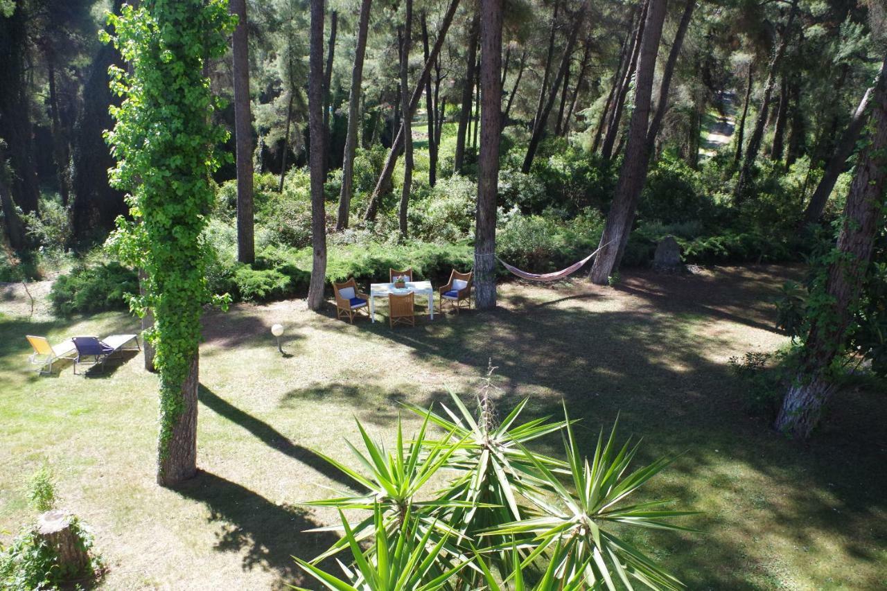Beautiful Summerhouse In Sani'S Pine Forest Παραλία Σάνη Εξωτερικό φωτογραφία